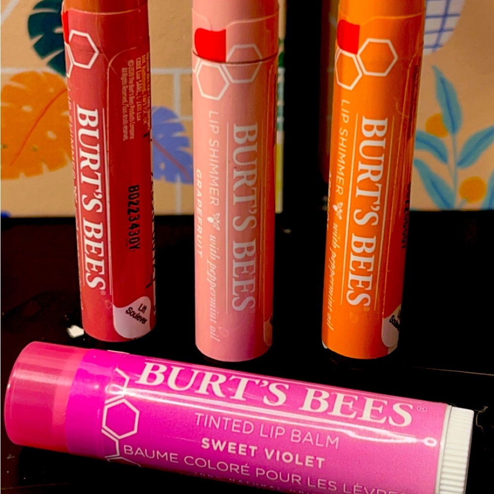 4pk Burt’s Bees
